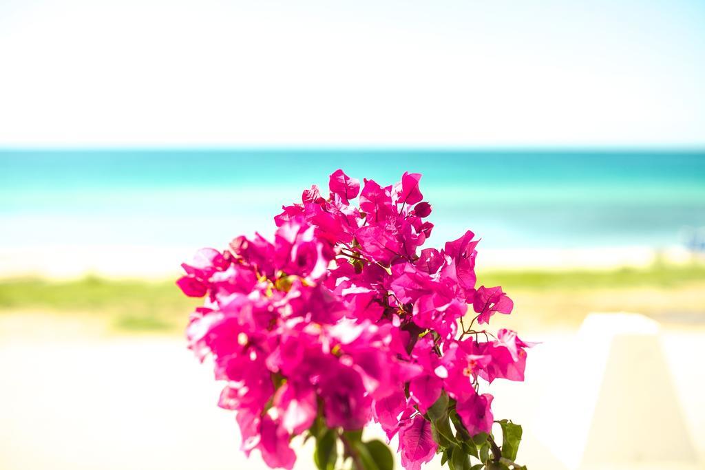 Bouganvillia Homes นิกิติ ภายนอก รูปภาพ